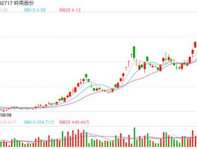 因金融借款纠纷 岭南股份被起诉 涉案金额2.98亿元