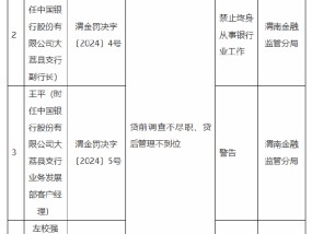 中国银行大荔县支行被罚85万元：因贷前调查不尽职 贷后管理不到位