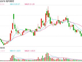 斥资超300万美元，瑞玛精密将在墨西哥买地