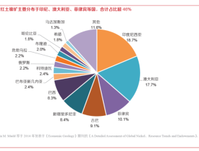 “无可取代”的印尼镍矿禁止出口，卡了谁的脖子？