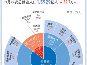 一图读懂美国11月非农就业报告