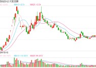 4.32亿元！天宝公司IPO折戟后“卖身”川发龙蟒