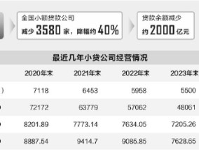 小贷行业深度洗牌，9年近3600家公司退场