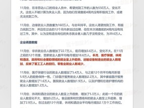 美国11月非农就业报告中文全文