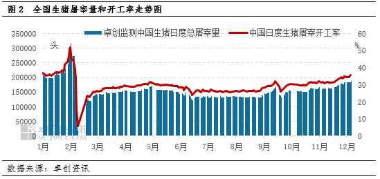 卓创资讯：需求提振不及供应增量 猪价再次跌破“16元/公斤”