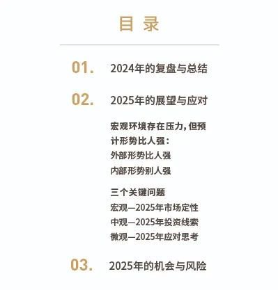 清和泉年度策略|2025发展重回优先：形势比人强 看好四大投资方向