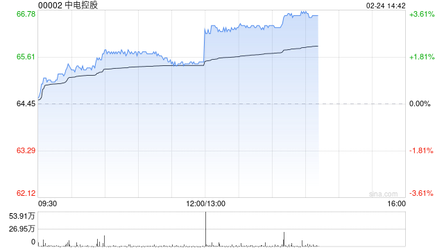 中电控股公布2024年业绩 股东应占溢利117.42亿港元同比增长76.44%